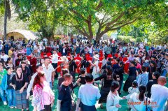 <b>白查村旅逛资本进行性开辟</b>